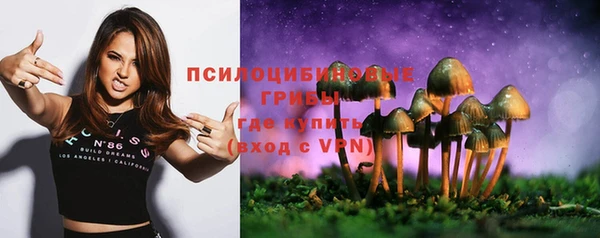 apvp Елизово
