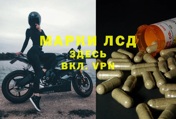 марки lsd Ельня