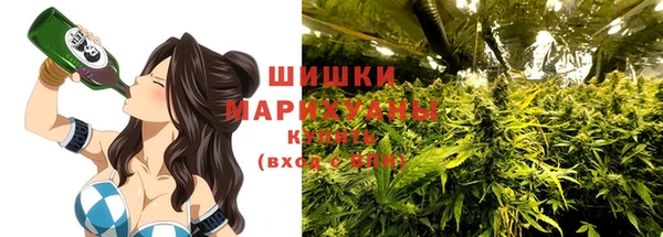 apvp Елизово