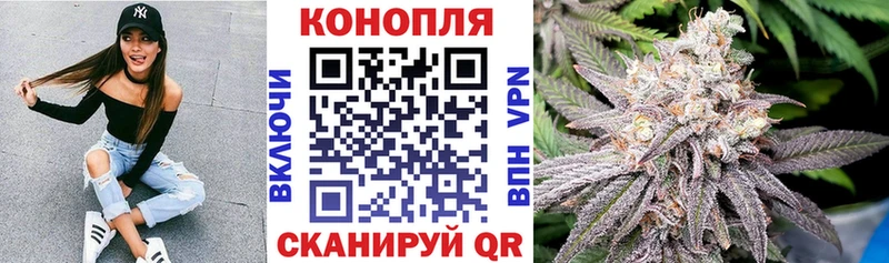 Бошки марихуана THC 21%  Купить где  Нахабино 